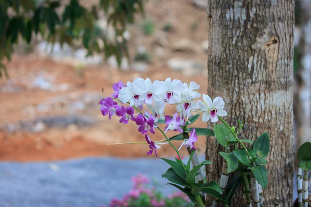 Chaison Hill Resort Khanom Exterior photo